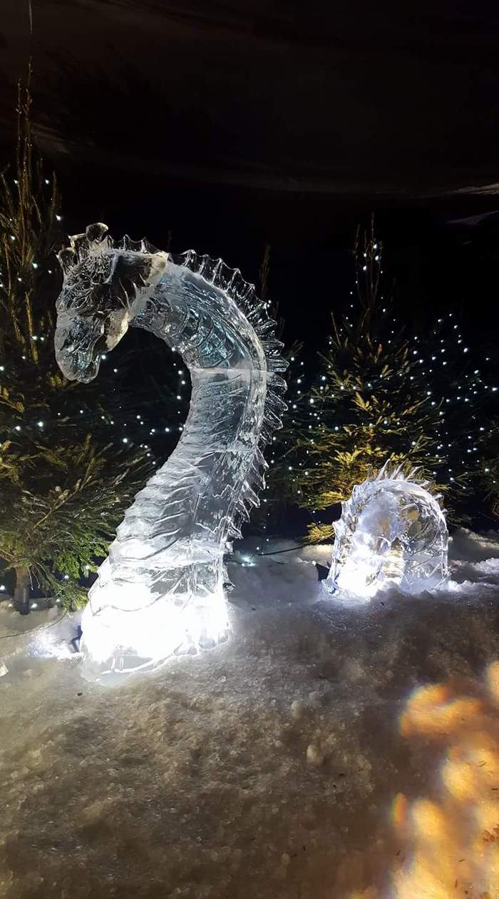 Ice Sculpture of the Loch Ness Monster - Ice sculpture, Sculpture, Art, Loch Ness monster, beauty, Monster