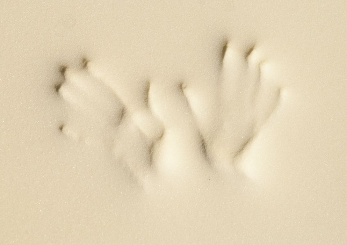 Вязкоэластичный поролон Memory Foam (с памятью)