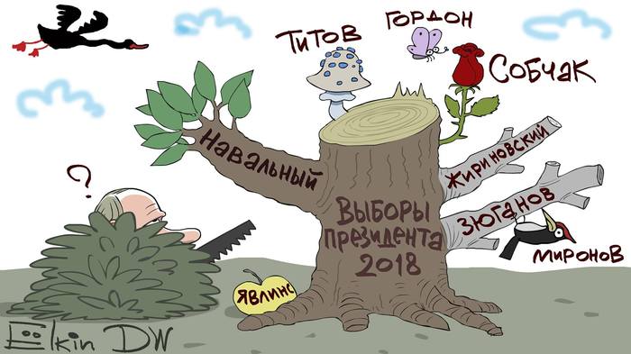 Президентские выборы в России - в одной картинке. - Сергей Елкин, Карикатура, Выборы, Политика, Политическая карикатура