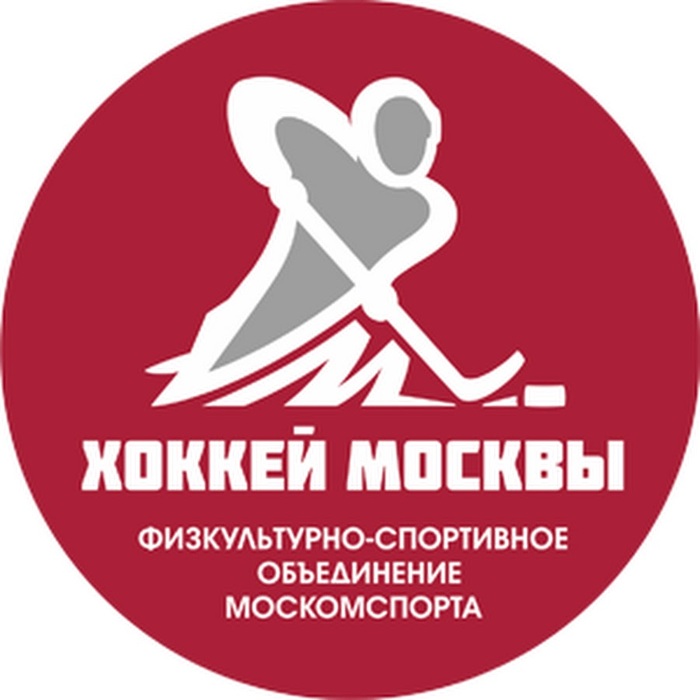 Hockey schools in Moscow. North Star - Hockey, , , Kids sports, Section, Sports school, Sports Tips, Longpost