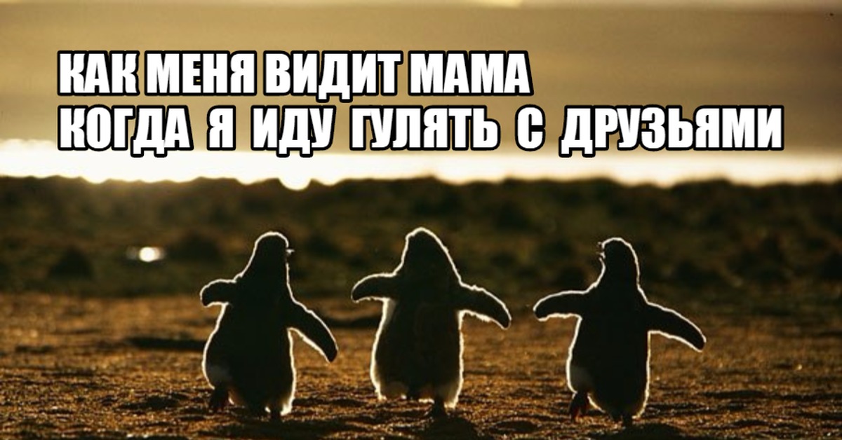 Идем гулять картинки