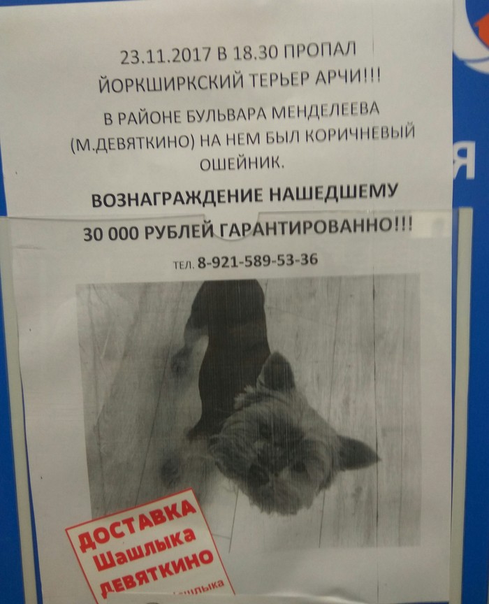 Когда искать собачку смысла уже нет...