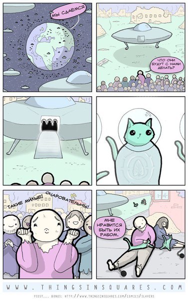 Comments - Humor, cat, Aliens