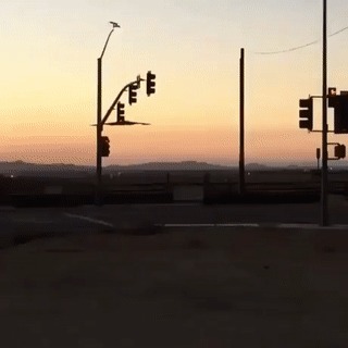...  ...   ...