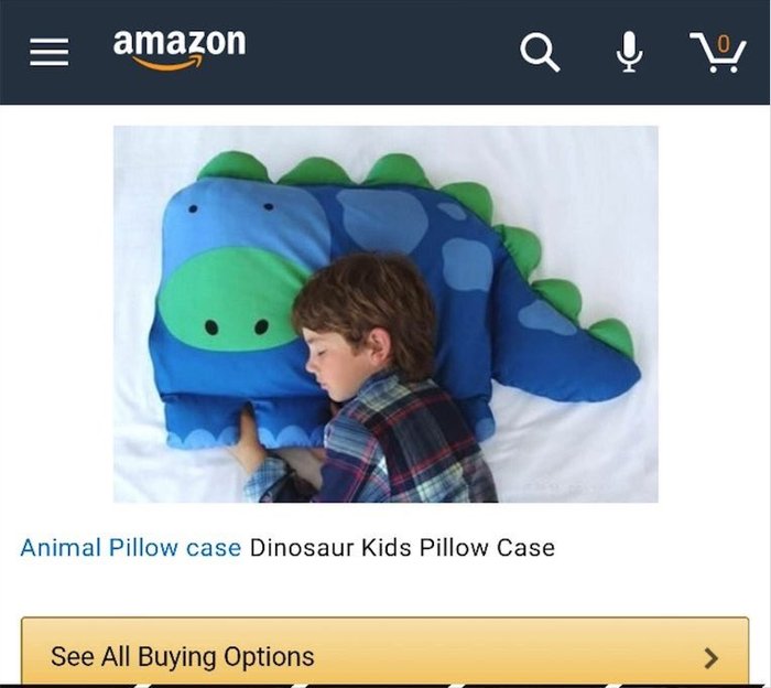 I ordered a pillow for my son. - Pillow, Amazon, Deception