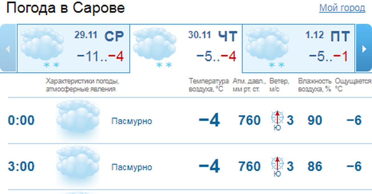 Погода саров точно