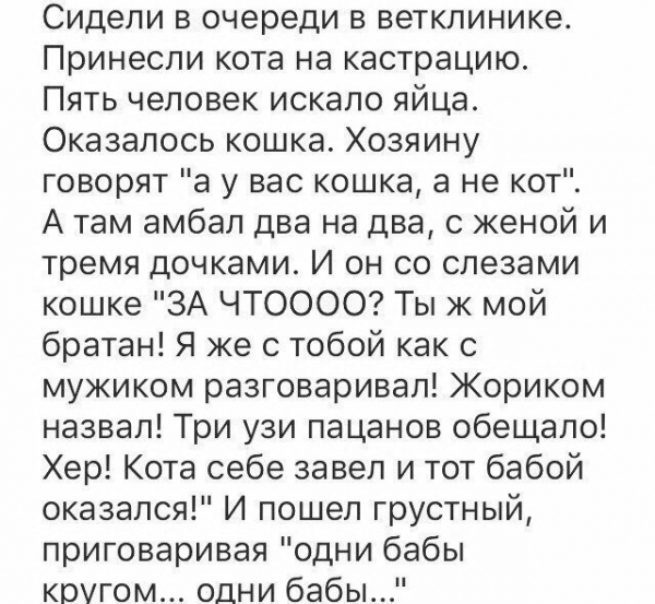 Не друг ты мне больше,Жорик!