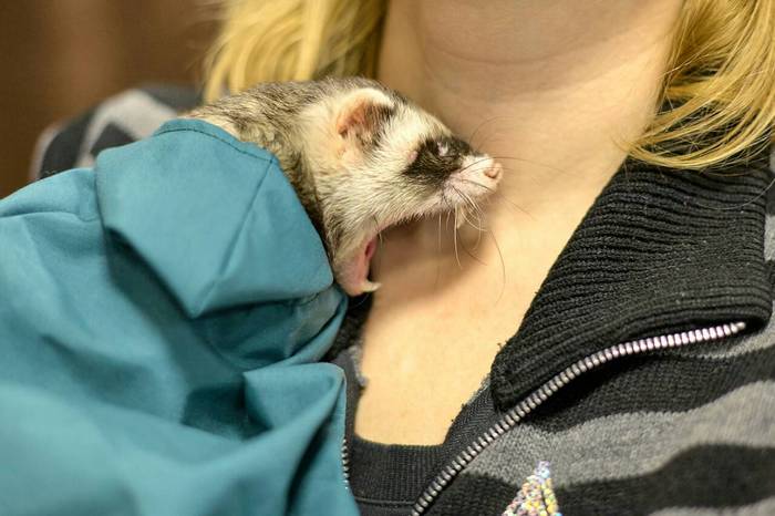 Просто зевнул