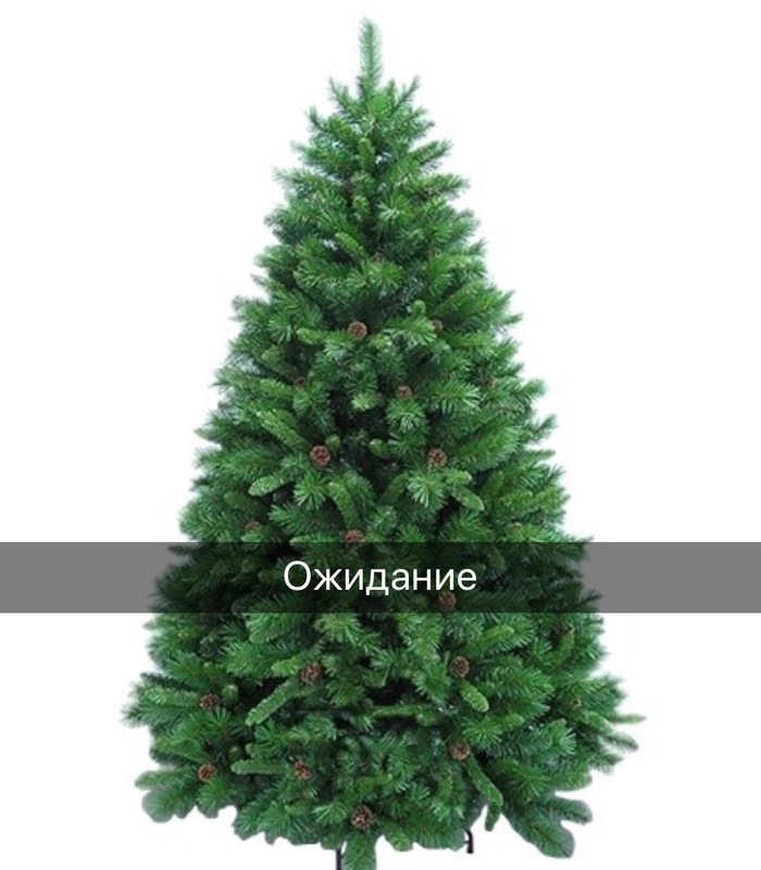 I ordered a tree here - New Year, Longpost, Expectation and reality, Christmas trees