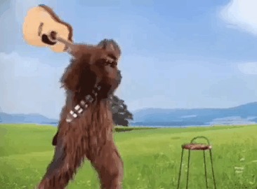 Когда гитара не настроена, а у тебя лапки)