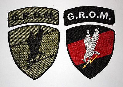 GROM - Polish military unit for special purposes. (Wojskowa Formacja Specjalna) - Special Forces, Poland, Anti-terrorist operation, Grom, Longpost, Tom clancy's rainbow six siege