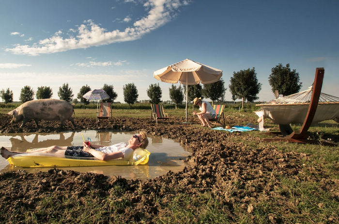 Pig on the Beach - Relaxation, The photo, Pig, , Puddle, Dirt