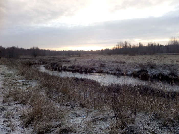 Sista river. - Perch, Pike, Fishing, , , Longpost