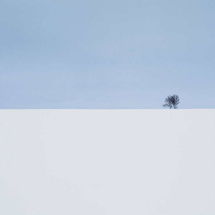 Минимализм