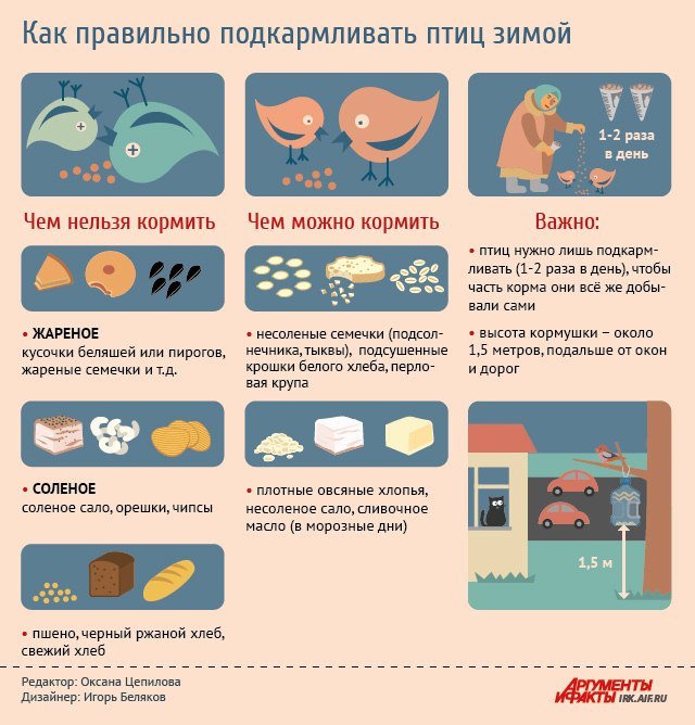 Как правильно подкармливать птиц зимой - Зима, Длиннопост, Зимняя подкормка, Птицы зимой, Кормушка, Птицы