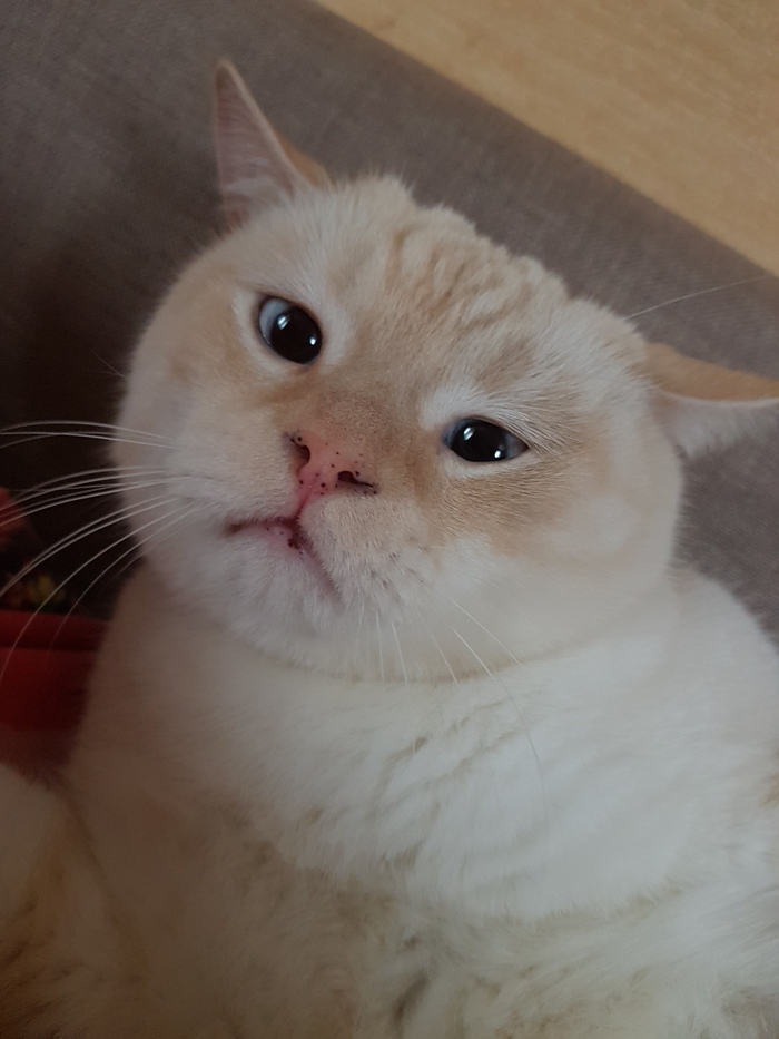  , 