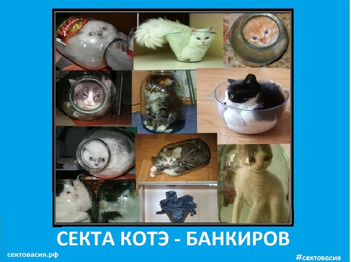 Kote sect - bankers - Sect, , , , cat, Bad humor, Demotivator