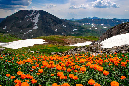 The beauty of the Altai Mountains - Mountain Altai, Nature, Altai Republic