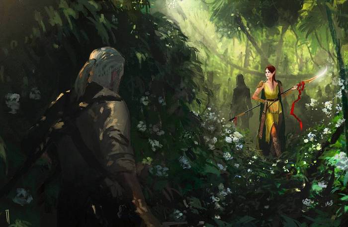 Meeting in the woods - Art, Images, Witcher, Forest, Skoyataeli