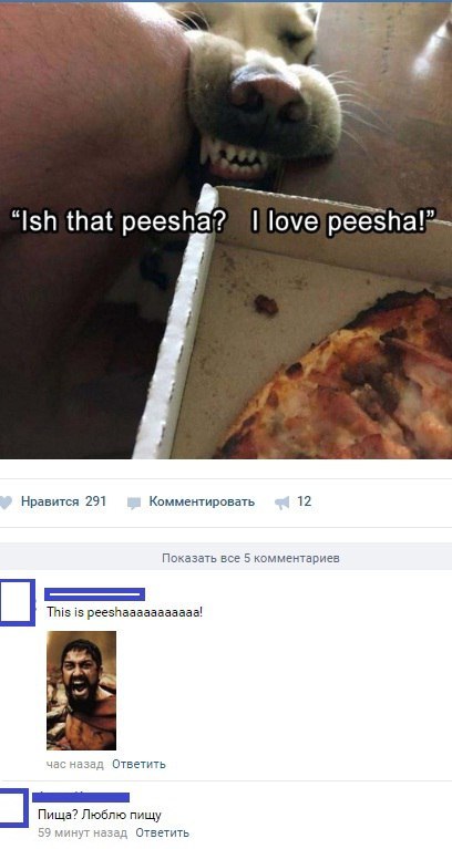 Love of pizza - Pizza, Comments, Food, Dog, Picture with text, English language, Humor