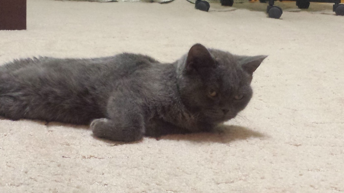 ��������. ��� ������ ��� ����� ������. ���������