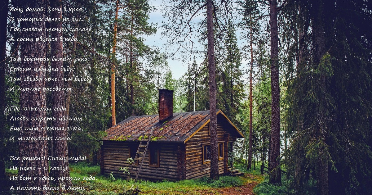 Боровецкий лес дом отшельника. Прошло летом у моего лесного домика. Прошло летом у моего лесного домика. Домик в лесу. Прошло летом у моего лесного домика.