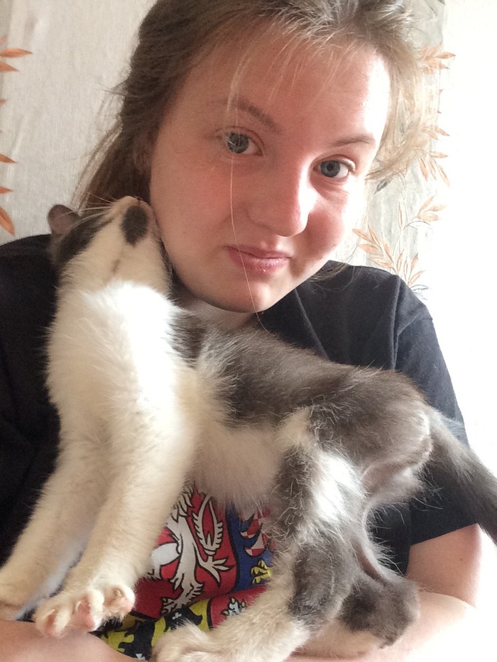 Vaska's life - My, cat, , Disease, Vasilisa, Real life story, Longpost, Peritonitis