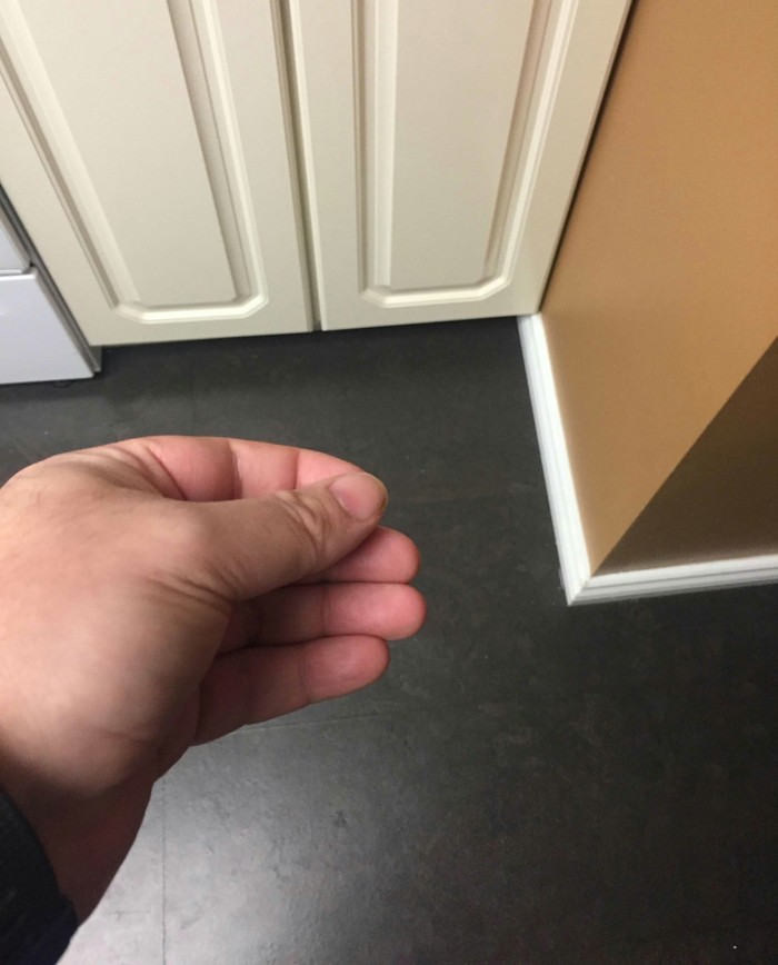 Кормлю невидимого кота невидемой едой