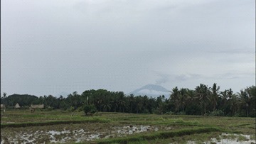    . , ,  , 