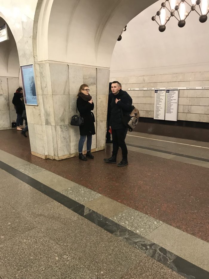 Beggars on Mendelevskaya 12/5/2017 - Beggars, Beggars on the subway, Moscow Metro, Youth, Fraud, Longpost, Mendeleevskaya