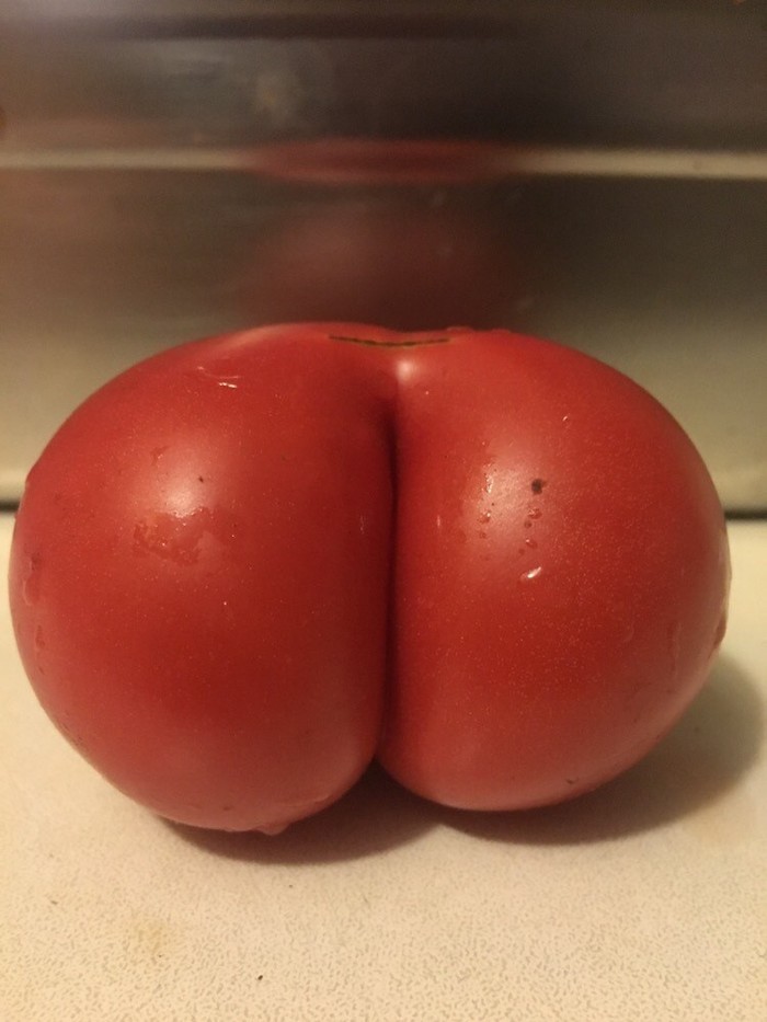 Tomato - My, Self-portrait, Booty