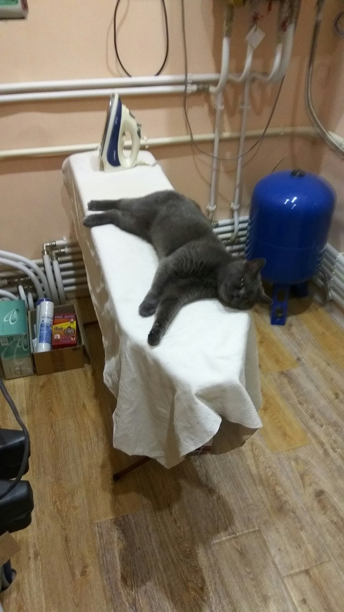 ������� ����