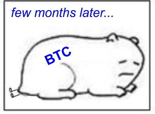 When I bought Bitcoin in December - Bitcoins, Bitcoin rate, Comics