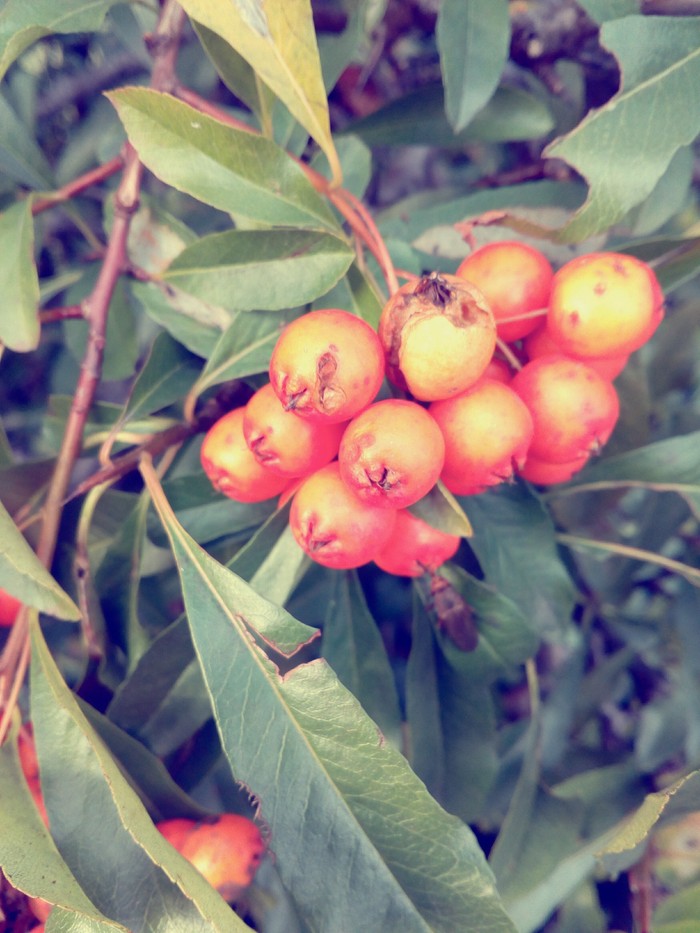 ����� ������