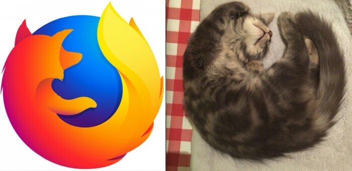 Cat cosplay is always good - Firefox, cat, Cosplay
