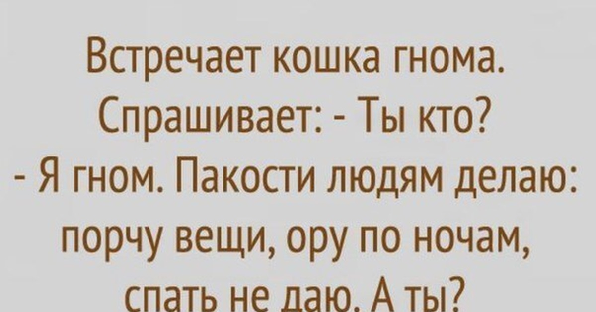 анекдот про гномика. анекдоты по географии. эксперимент удался мем. анекдот про гномика с бородой. анекдот про гномика.