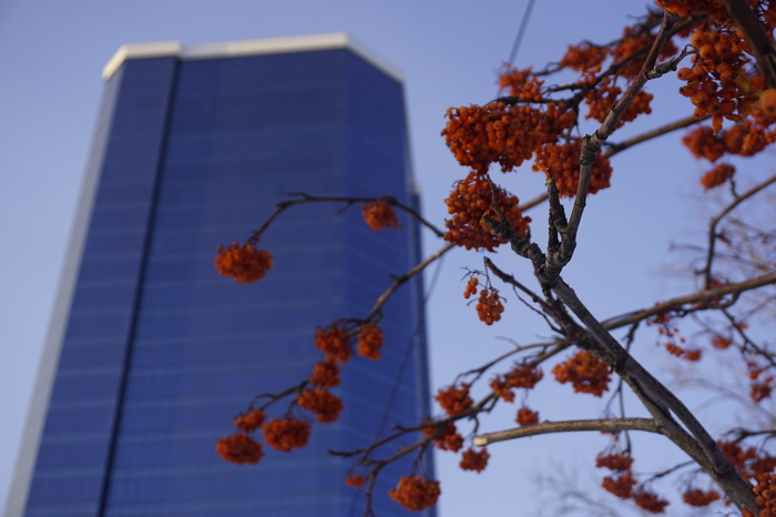 Городской пейзаж.