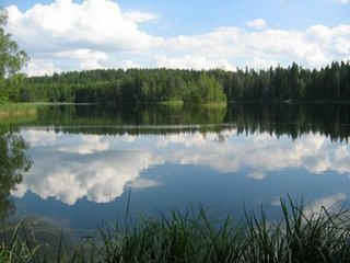 A story about how schoolchildren went to the national reserve. - My, Excursion, Blue Lake, Pupils, Smile, Text, Longpost