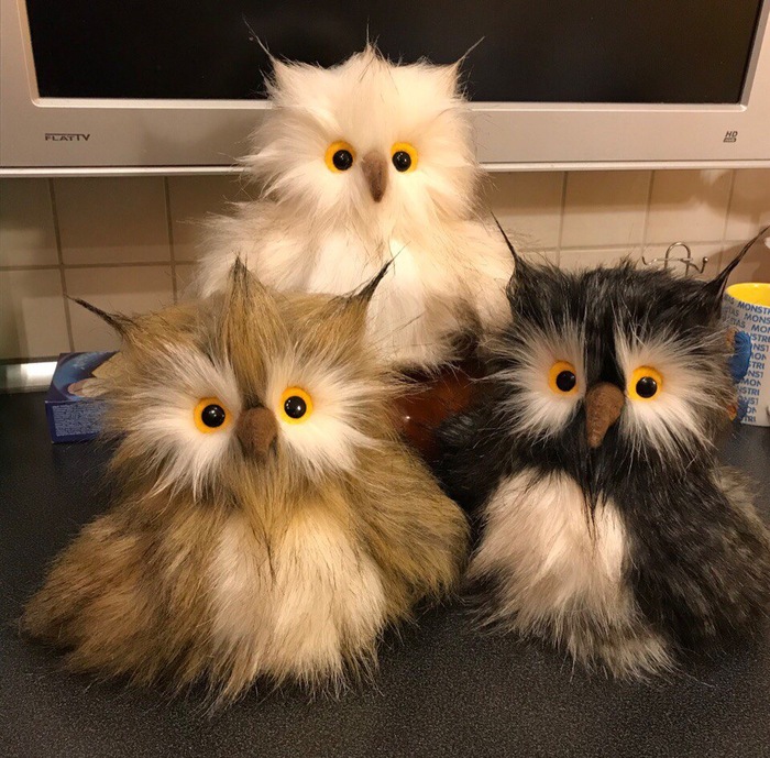 Ahead is the year of the dog, and we have owls. - My, Handmade, With your own hands, Sewing, Owl, Soft toy, Presents, New Year, Needlework without process, Longpost