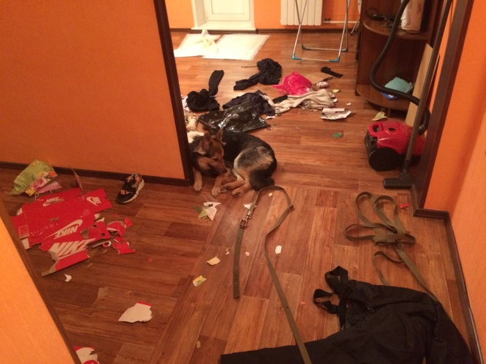 Диванные шпионы помогите