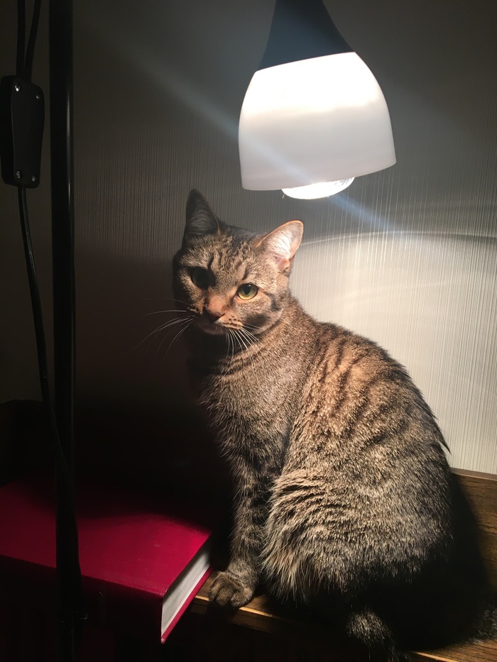 ����������� �����.