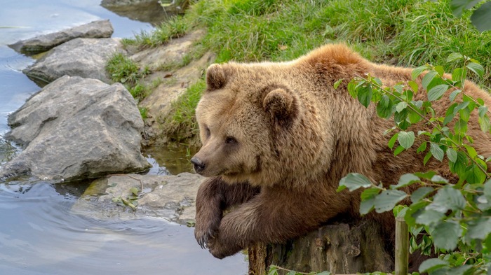 О тщете всего сущего...:)