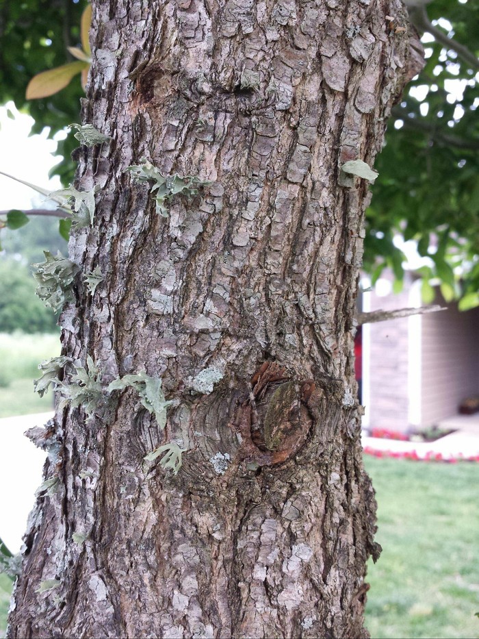 Камуфляж 90 lvl