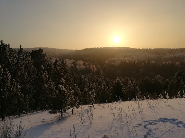 Зимний лес - Лес, Зима, Моё