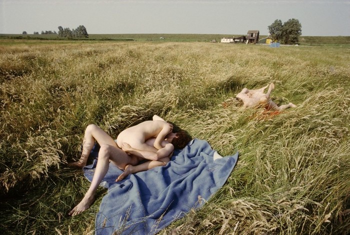 Proximity in the field - NSFW, Erotic, Sex, 