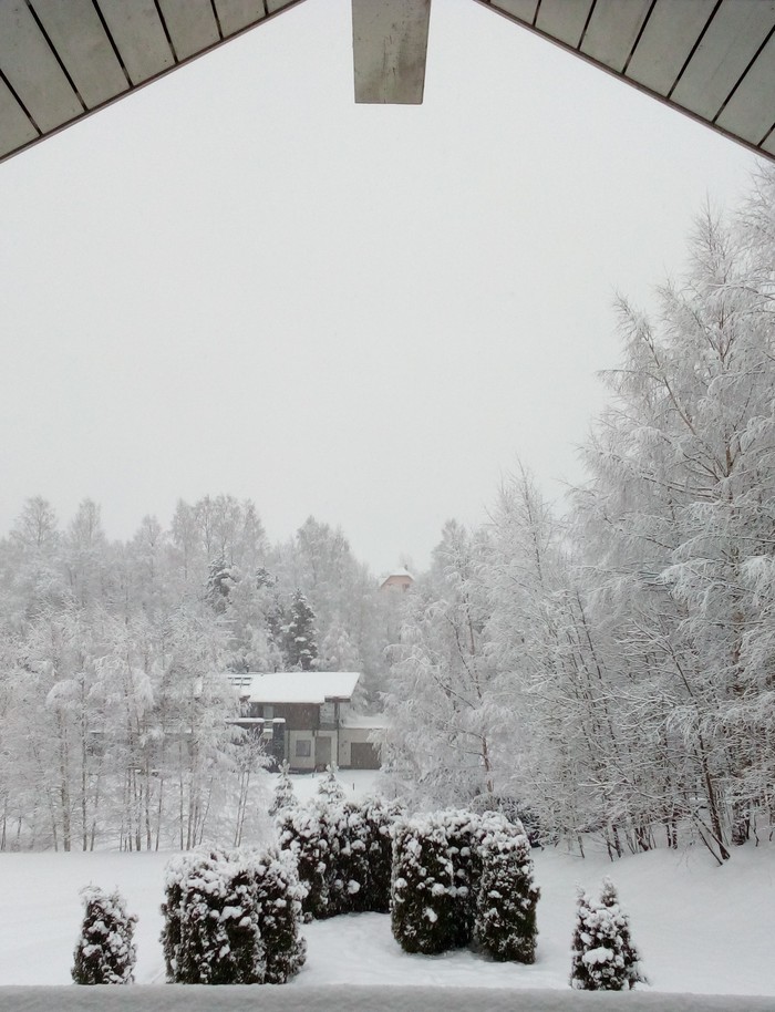 Throwing in beauty - Snow, My, Winter, Nature, beauty