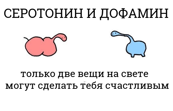 Психология переедания: удовольствие, самолечение и нейрогормоны - Длиннопост, Просто очень длиннопост, Переедание, Дофамин, Серотонин