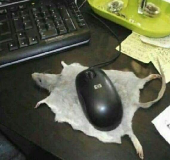 When I ordered a mouse pad from AliExpress - Mat, AliExpress, 