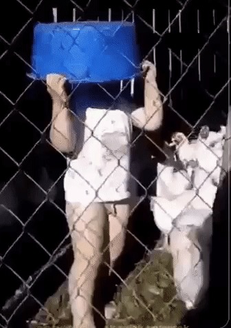 Заморила червячка