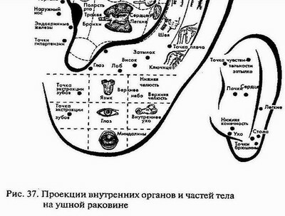 Будни пирсингиста. Часть 14. - Моё, Пирсинг, Работа, Вопрос, Длиннопост